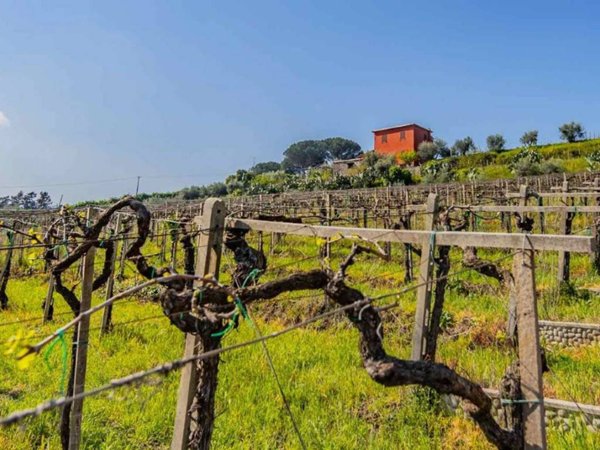 casa indipendente in vendita a Frascati in zona Prataporci