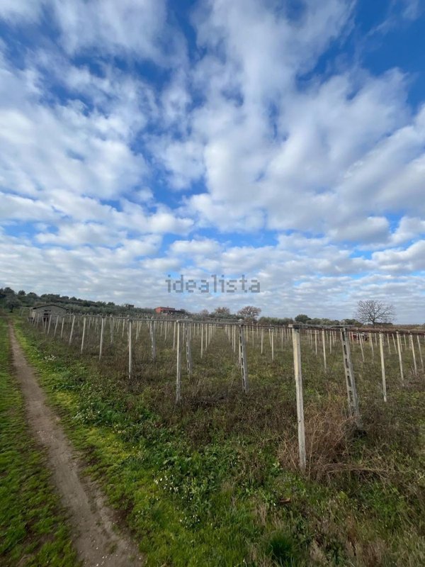 terreno in vendita a Frascati in zona Pantano Secco
