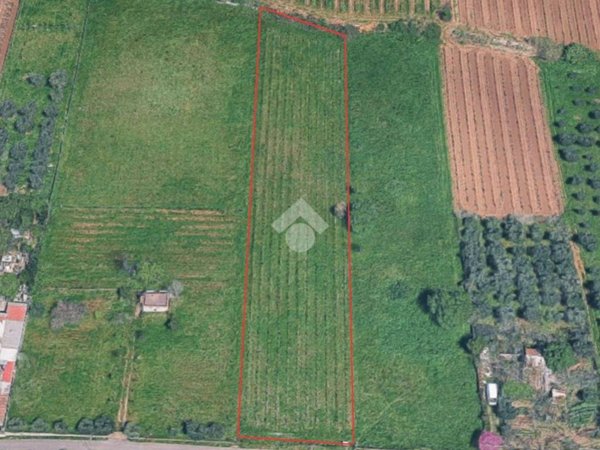 terreno agricolo in vendita a Frascati