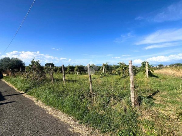 terreno agricolo in vendita a Frascati