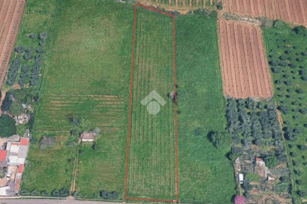 terreno agricolo in vendita a Frascati
