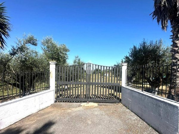 terreno agricolo in vendita a Frascati