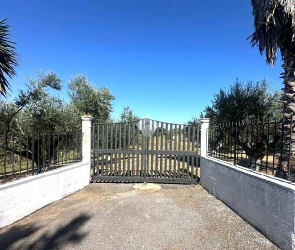terreno agricolo in vendita a Frascati