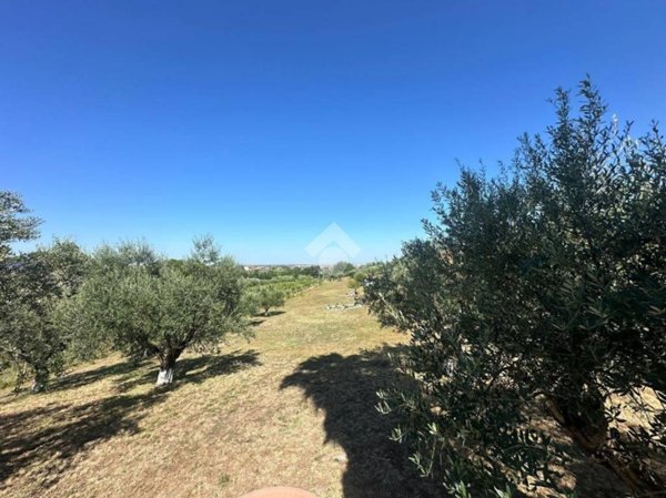 terreno agricolo in vendita a Frascati