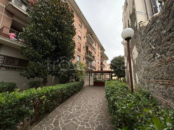 appartamento in vendita a Frascati