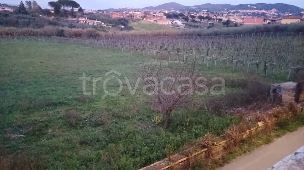 terreno agricolo in vendita a Frascati