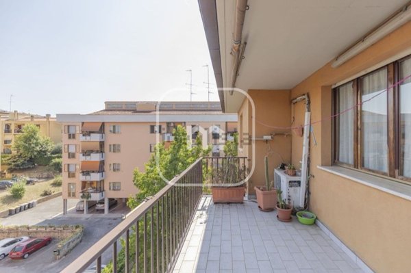 appartamento in vendita a Frascati