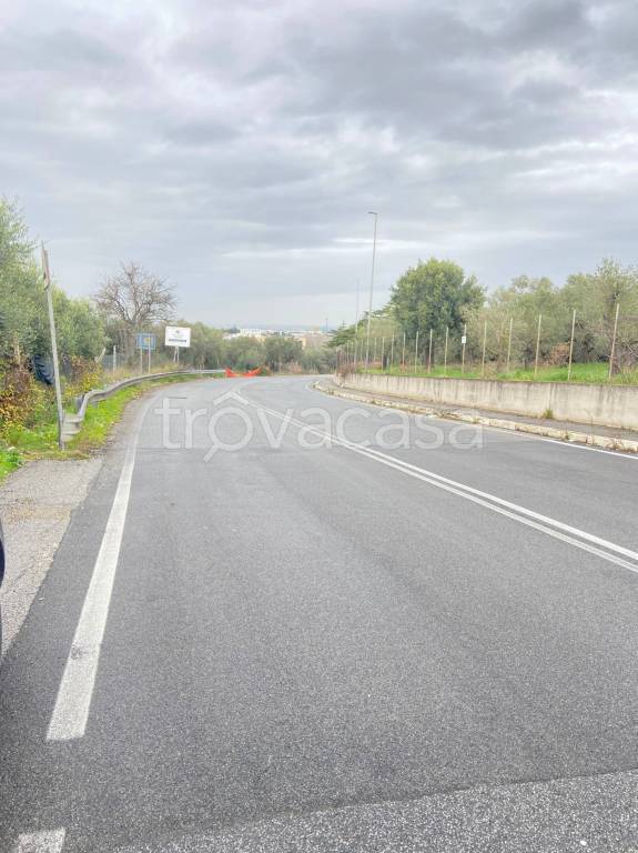 terreno agricolo in vendita a Frascati
