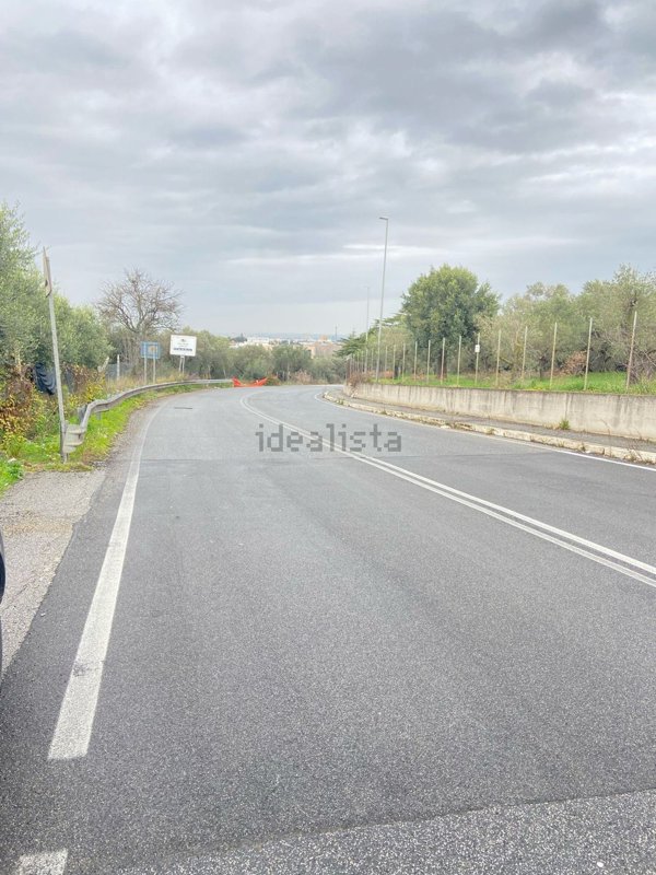 terreno agricolo in vendita a Frascati