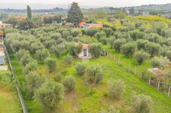 terreno agricolo in vendita a Frascati