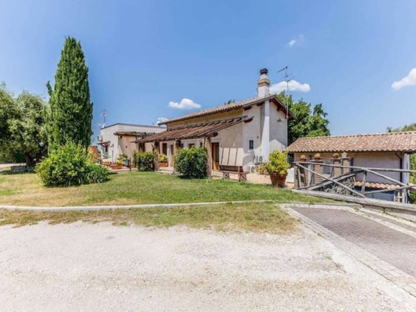 negozio in vendita a Frascati
