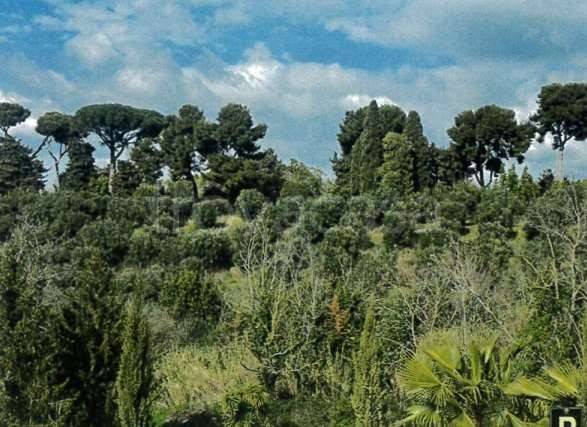 terreno agricolo in vendita a Frascati