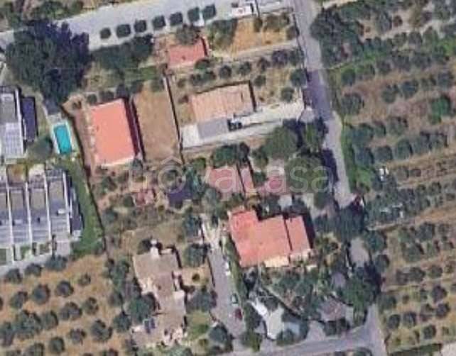 appartamento in vendita a Frascati