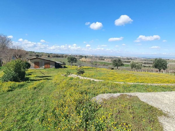 terreno agricolo in vendita a Frascati