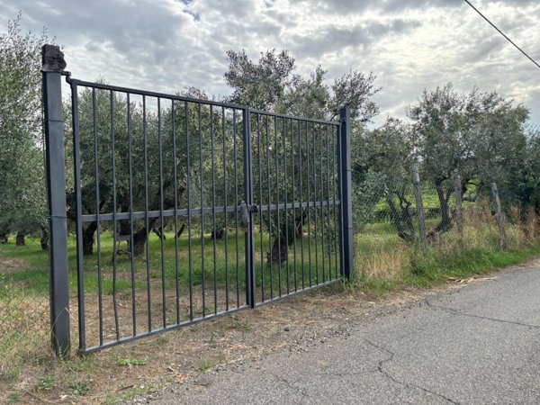terreno agricolo in vendita a Frascati