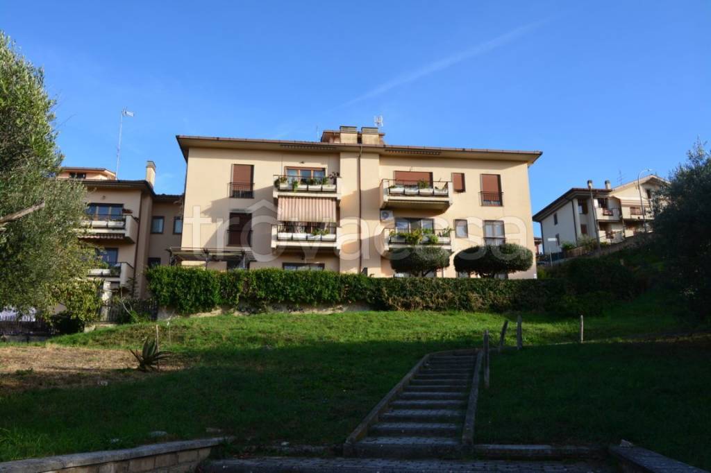 appartamento in vendita a Frascati