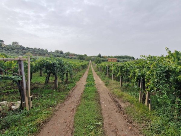 casa indipendente in vendita a Frascati in zona Cisternole