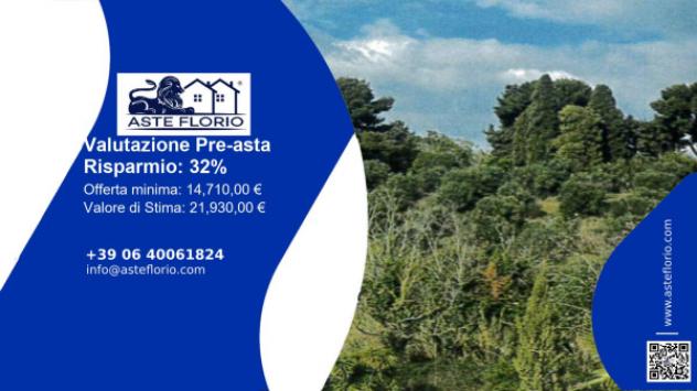 terreno agricolo in vendita a Frascati