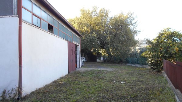 ufficio in vendita a Frascati