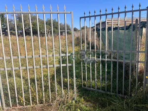terreno agricolo in vendita a Frascati