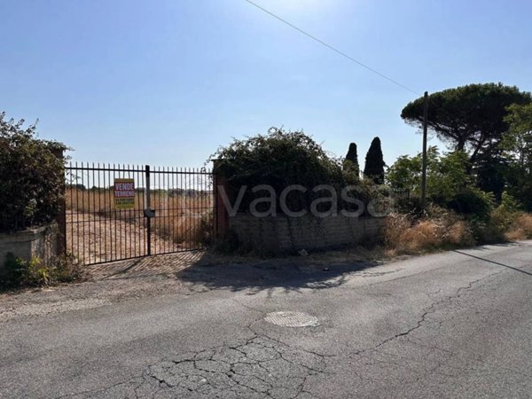 terreno agricolo in vendita a Frascati