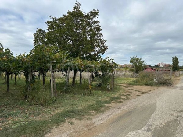 terreno agricolo in vendita a Frascati