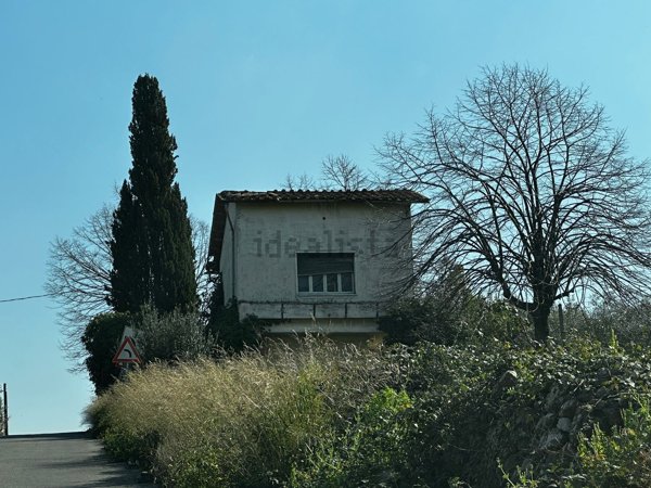 appartamento in vendita a Frascati