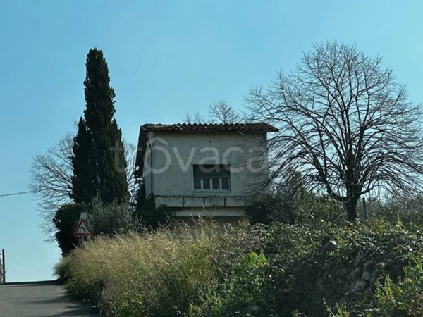 appartamento in vendita a Frascati