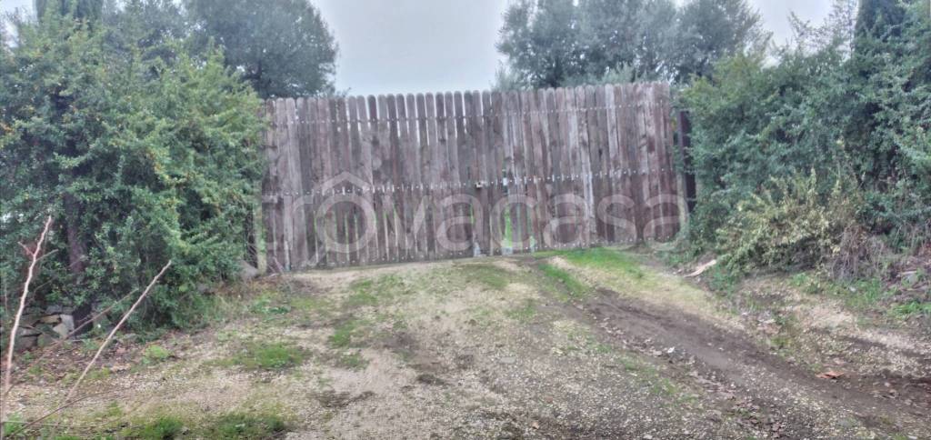terreno agricolo in vendita a Frascati in zona Cisternole