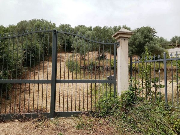 terreno agricolo in vendita a Frascati