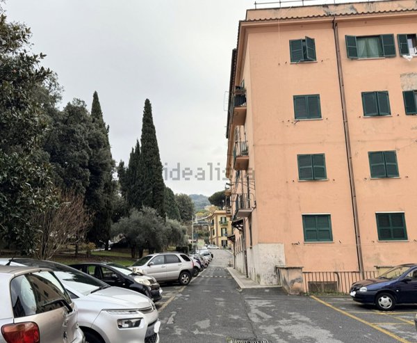 appartamento in vendita a Frascati