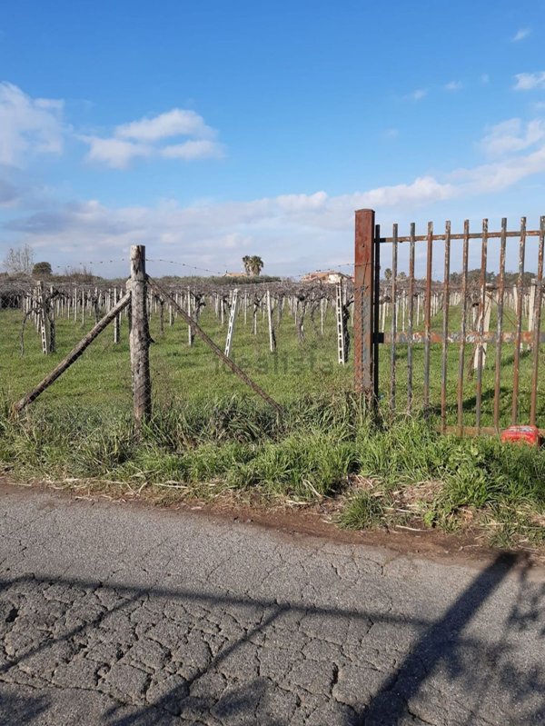 terreno agricolo in vendita a Frascati