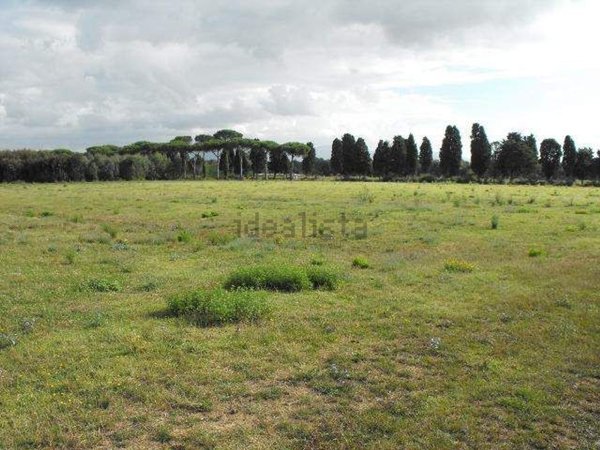 terreno edificabile in vendita a Frascati
