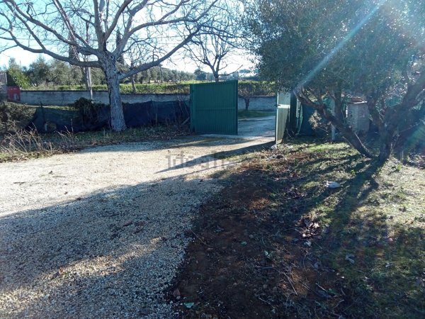 terreno agricolo in vendita a Frascati