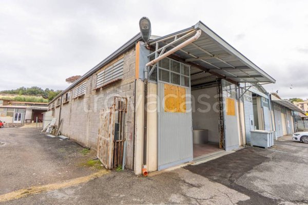 locale commerciale in vendita a Frascati