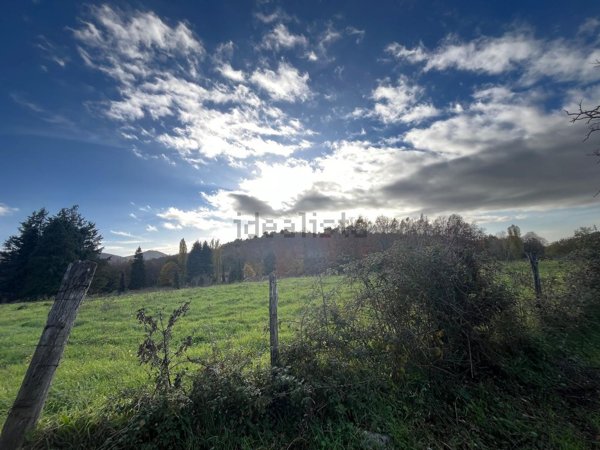 terreno agricolo in vendita a Frascati