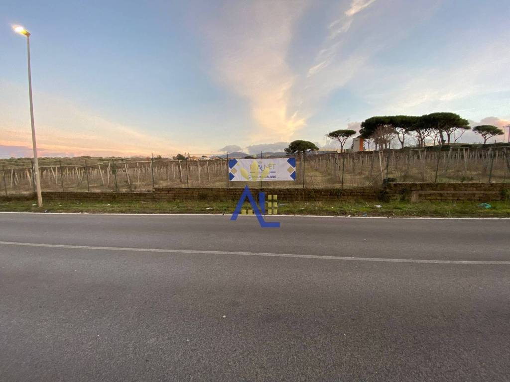 terreno agricolo in vendita a Frascati