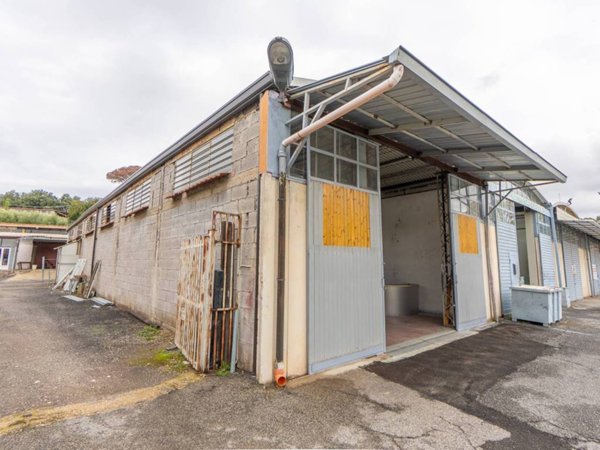 locale commerciale in vendita a Frascati