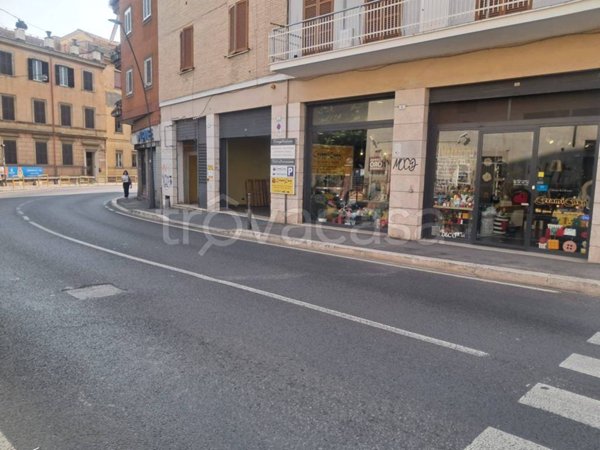 negozio in vendita a Frascati