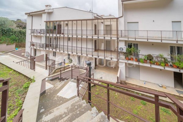 appartamento in vendita a Frascati