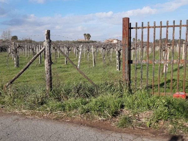 terreno agricolo in vendita a Frascati