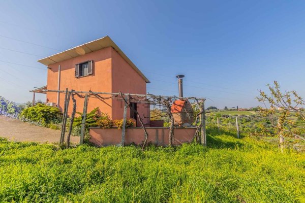 pentavano in vendita a Frascati