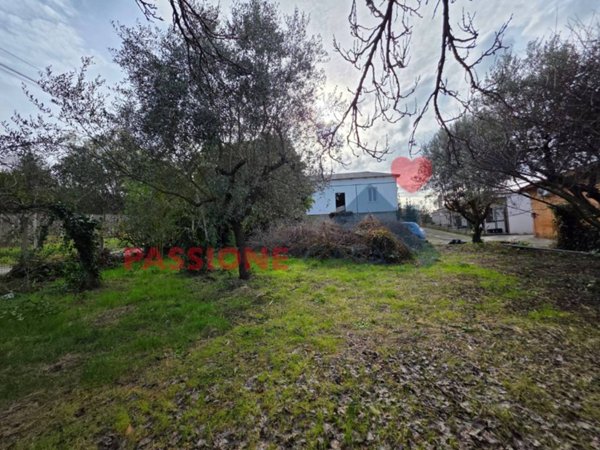 casa indipendente in vendita a Frascati