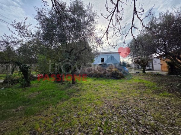 casa indipendente in vendita a Frascati