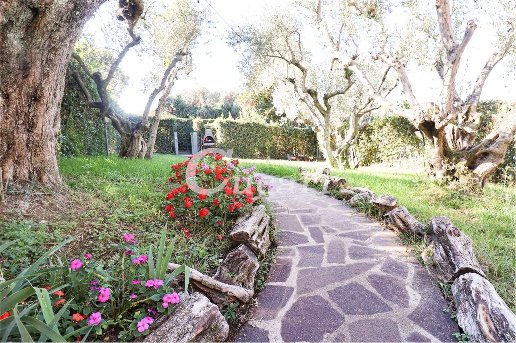 appartamento in vendita a Frascati