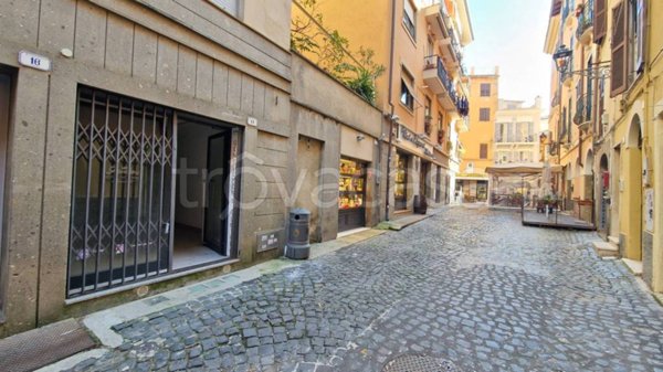 negozio in vendita a Frascati