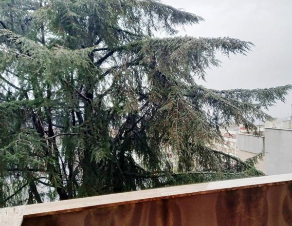 appartamento in vendita a Frascati