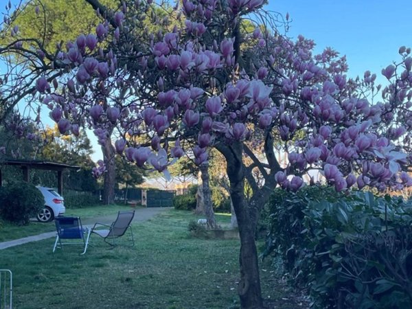 casa indipendente in vendita a Frascati