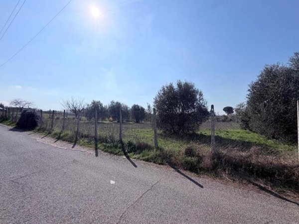 terreno agricolo in vendita a Frascati in zona Cisternole