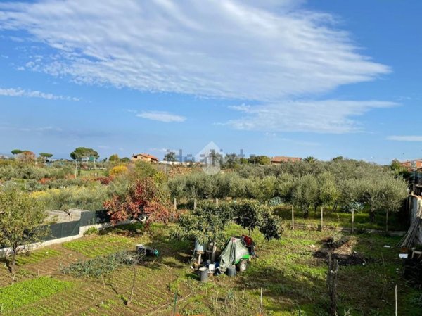 terreno edificabile in vendita a Frascati